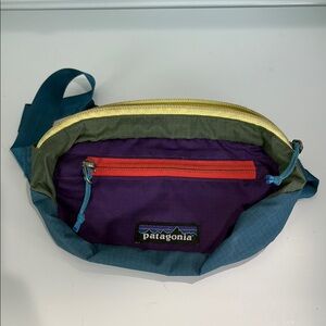 Patagonia Multicolor Waist Bag